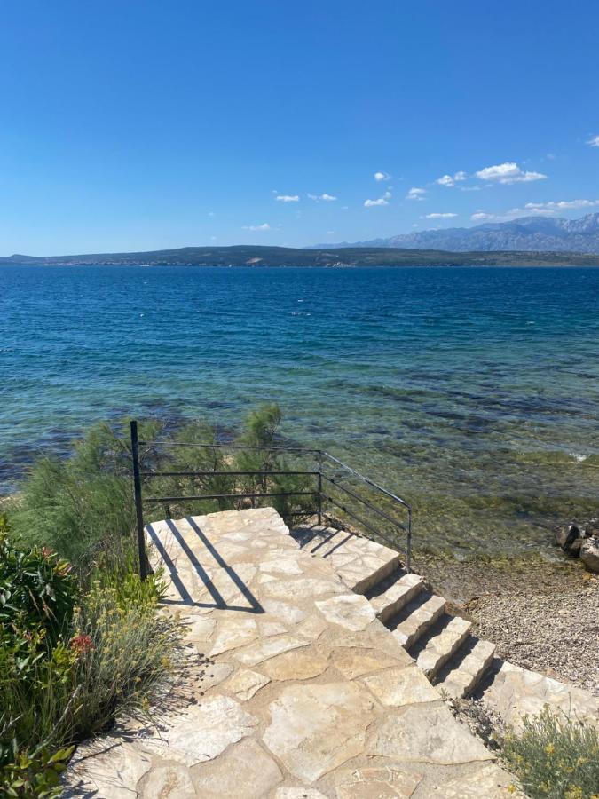 Apartments Mikecin Novigrad (Dalmatia) Exterior foto