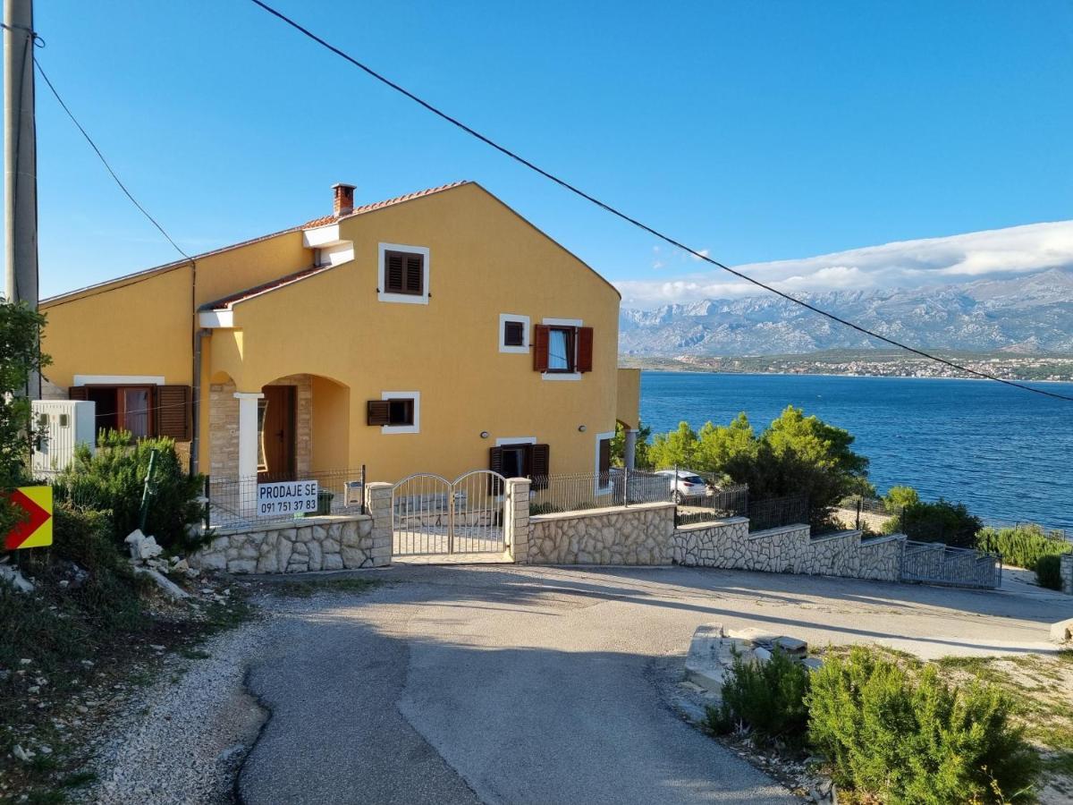 Apartments Mikecin Novigrad (Dalmatia) Exterior foto